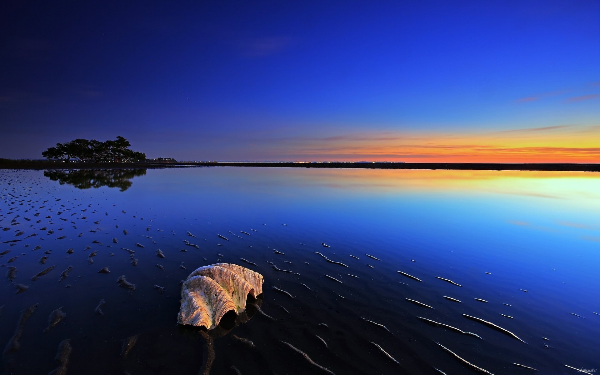 meer wasser sonnenuntergang himmel bäume