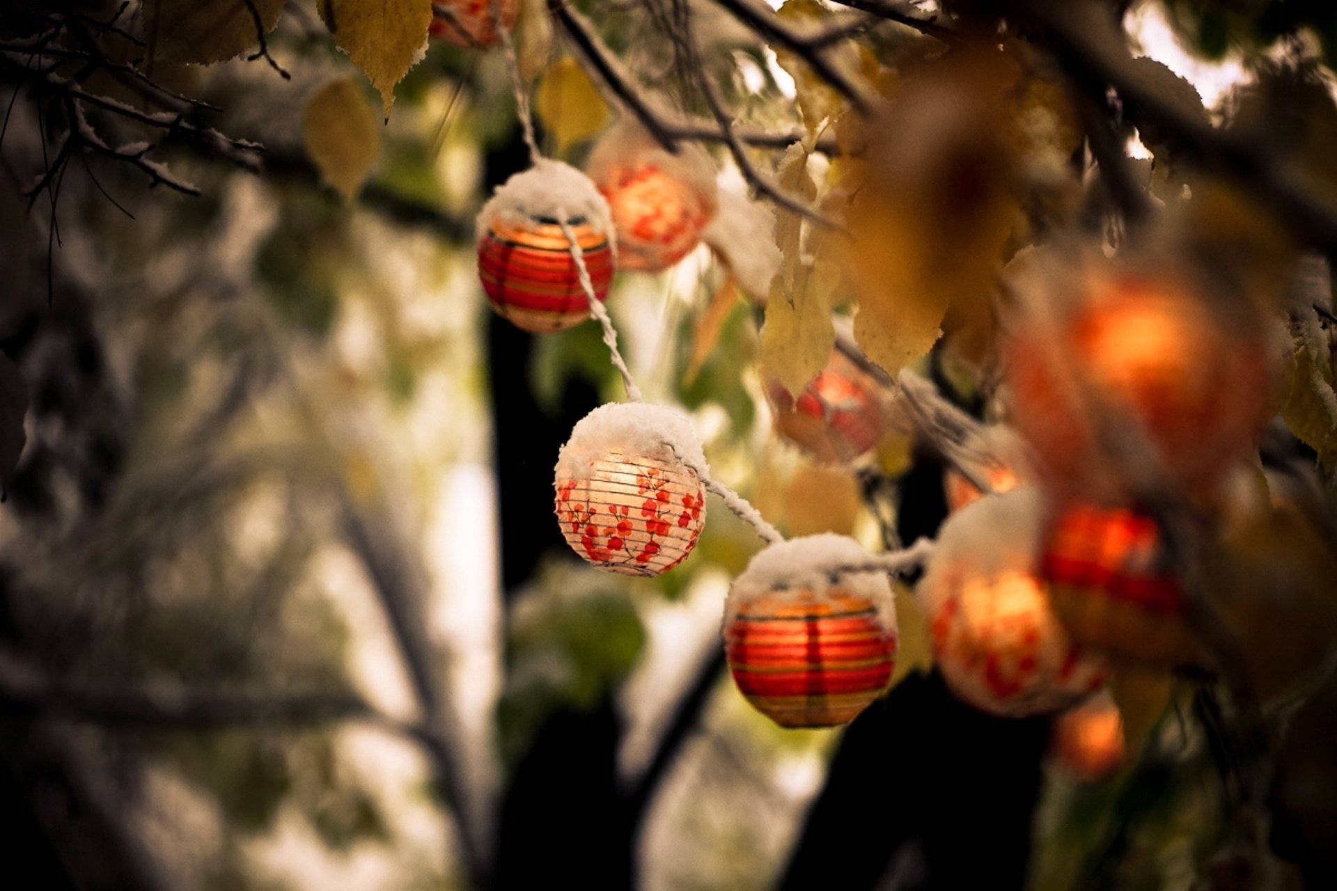 nature branches neige feuilles lanternes automne