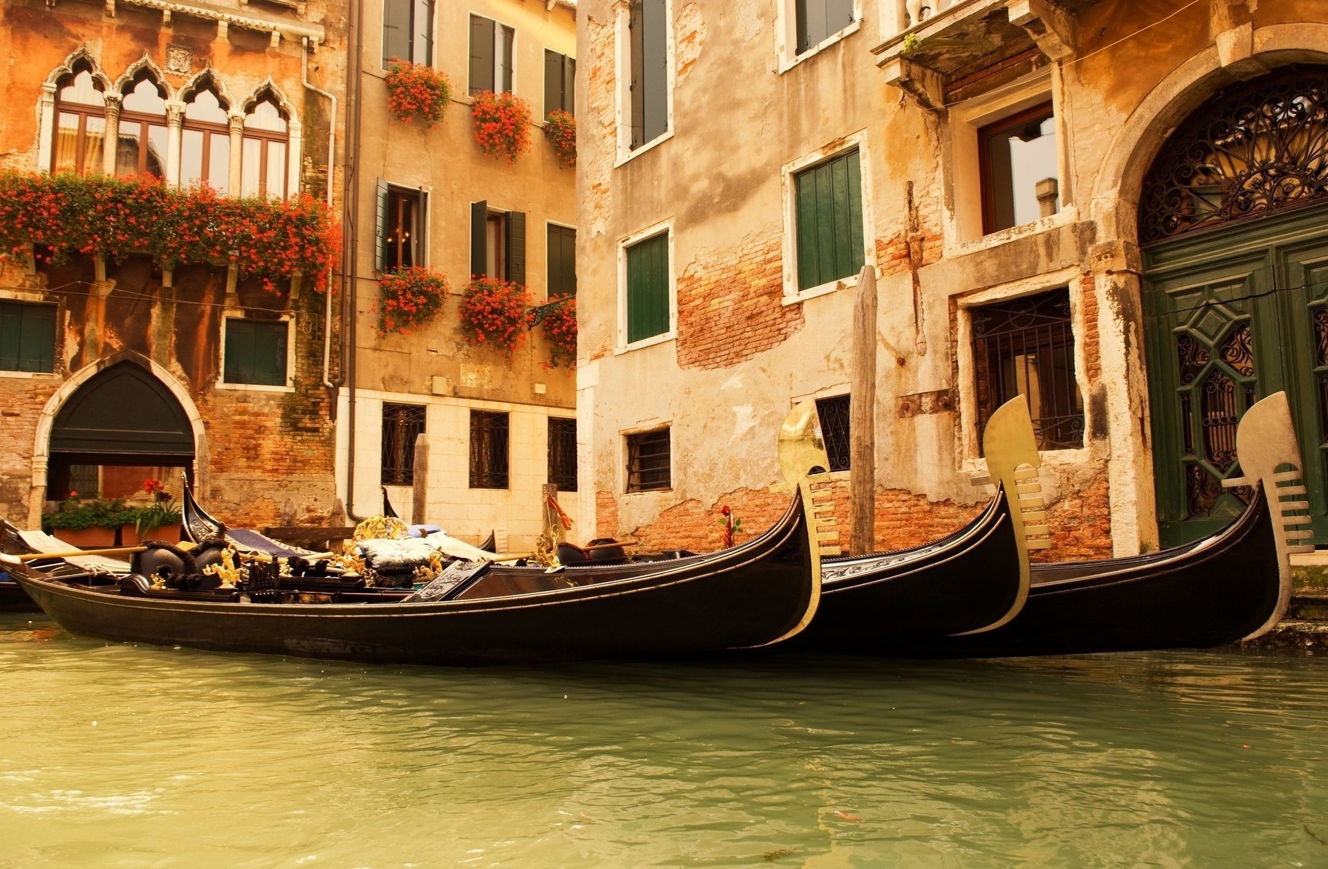 italia flores góndolas ventanas agua casas venecia