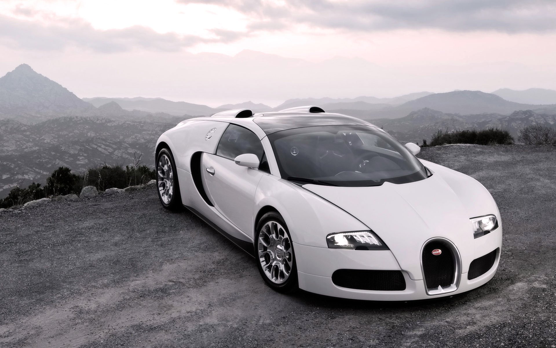 bugatti veyron авто спорткар белый капот фары люкс