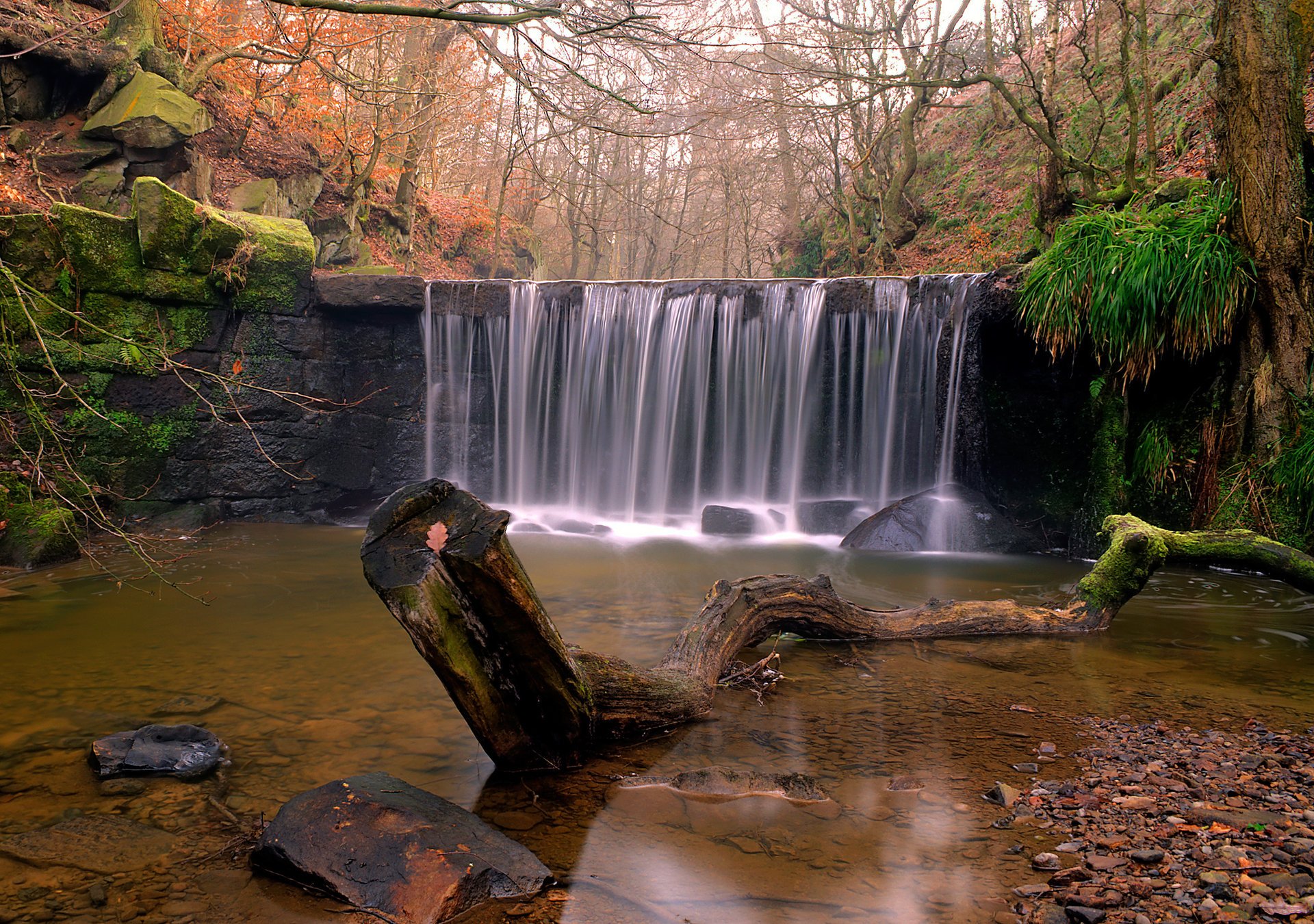 natur fluss wald steine treibholz wasserfall herbst