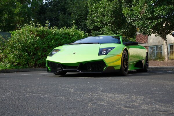 Green lamborghini near shrubs and trees