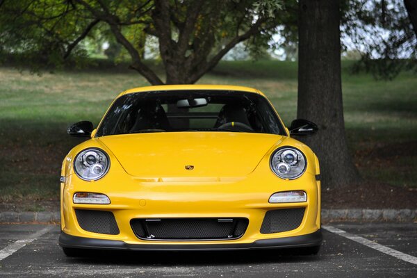 Porsche amarillo bajo un árbol en expansión