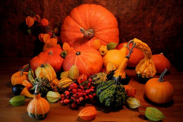 Adorabile Natura morta di zucca e physalis