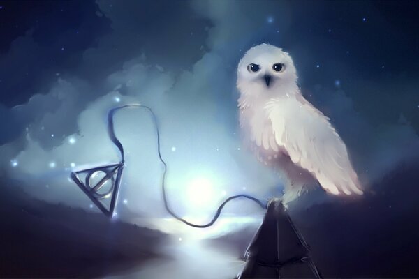 Hedwig and the Deathly Hallows in the night fog