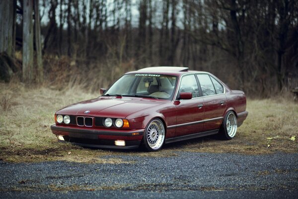 Red bmw by the road in the woods