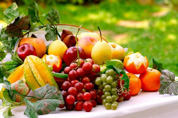 Composition de fruits mûrs juteux