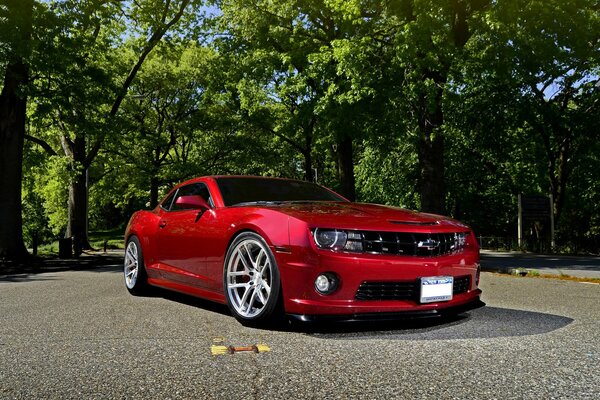 Roter Chevy Camaro auf der Allee im Wald