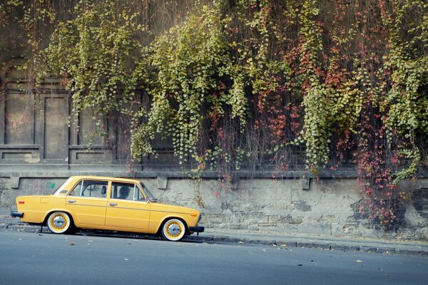 Un discreto sei giallo sulla strada