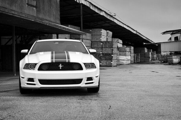 Clásico del género Ford Mustang