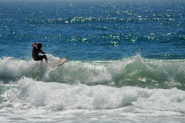 Surfer caught a good wave