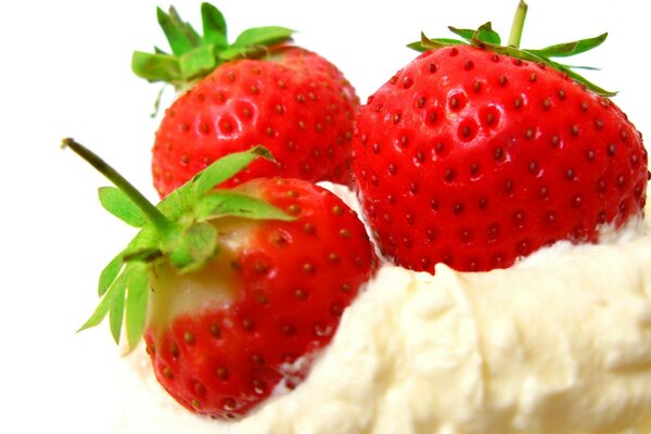 Three strawberries on white cream