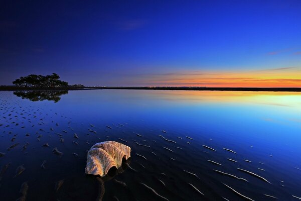 Wonderful sunset over the water surface