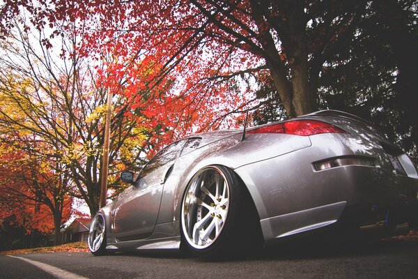 Gray Nissan in red autumn foliage