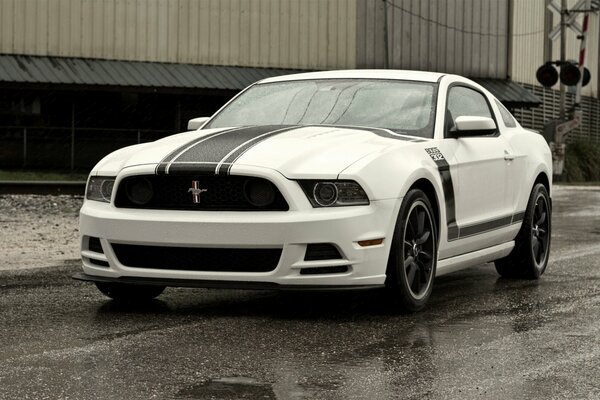 Ford Mustang blanc sur asphalte mouillé