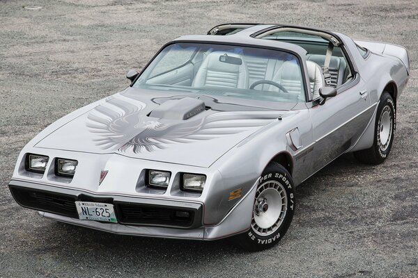 Grey pontiac with a firebird on the hood. gray car on gray asphalt