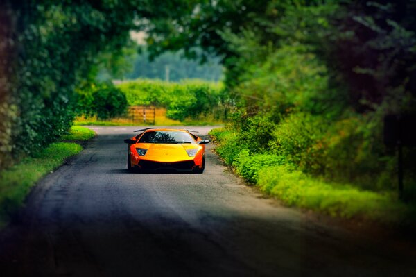 Ein gelb-orange Lamborghini fährt im Sommer auf der Straße