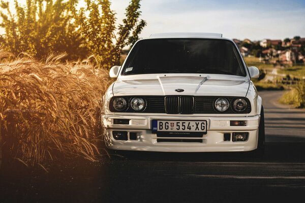 Bmw blanco en un campo de trigo