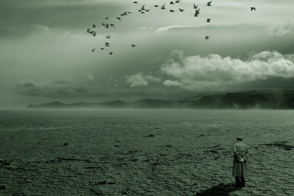 Loneliness in the desert against the background of flying birds