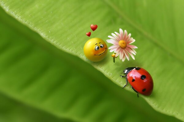 Imagen de una carita sonriente y una mariquita sonriente