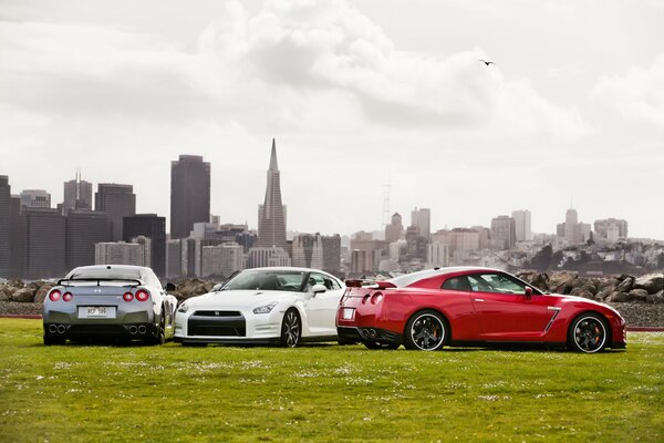 Nissan-Autos auf einer Landwiese