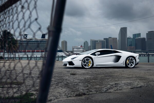 White lamborghini vellano mc on the side of the city background