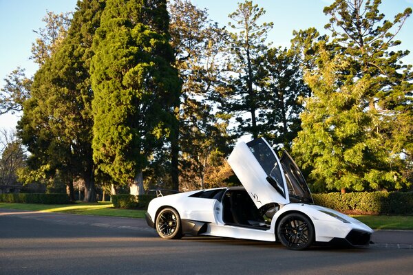 Lamborghini murcialago bianco sul lato contro gli alberi