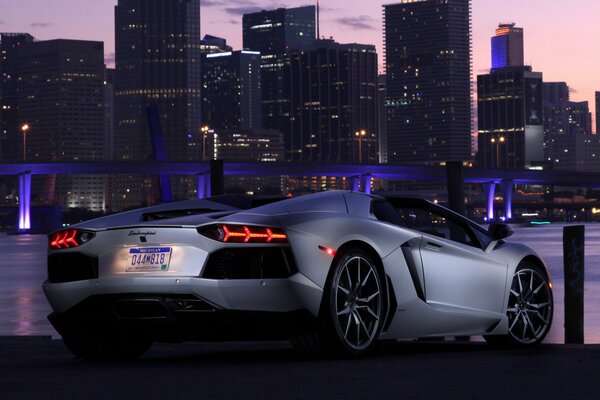 The rear of the lamborghini aventador car under the bridge