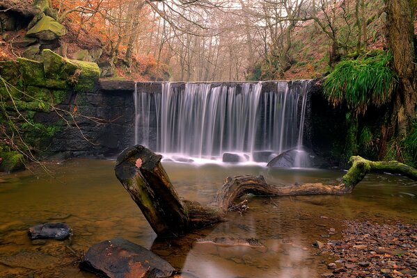 Naturaleza otoñal con cascada en el bosque