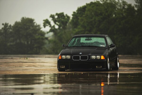 Black BMW in the rain on a background of trees