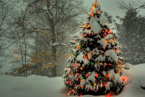 Bright lanterns on a snow-covered fir tree