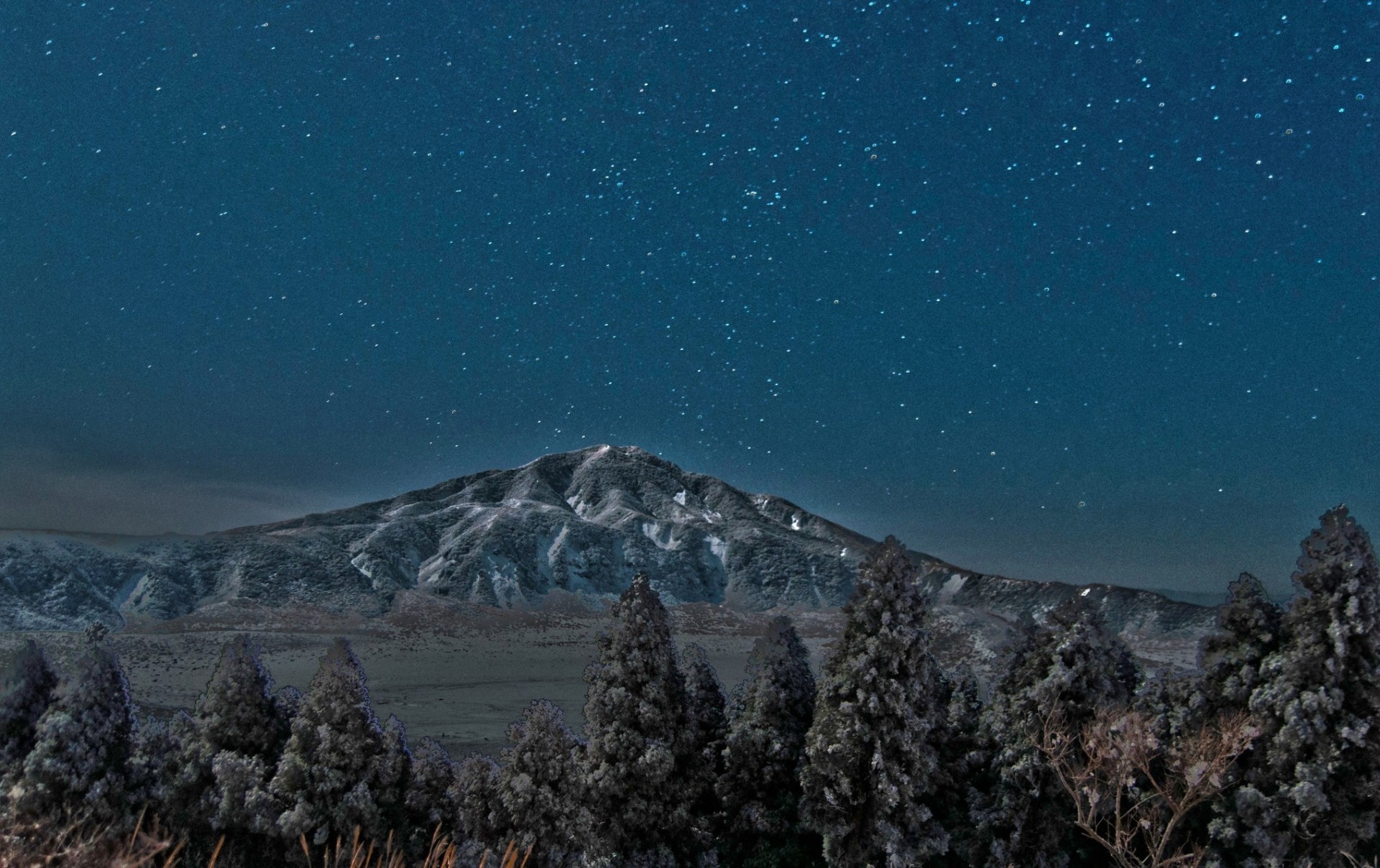 ciel nuit palmiers montagne vue