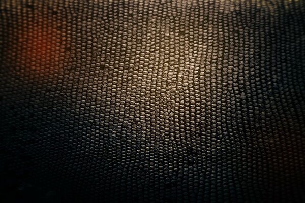 Texture in pelle nera alla luce