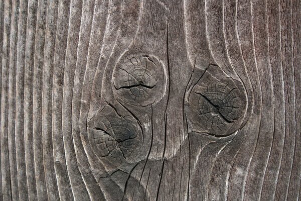 Subtilités de la texture sur la coupe du bois