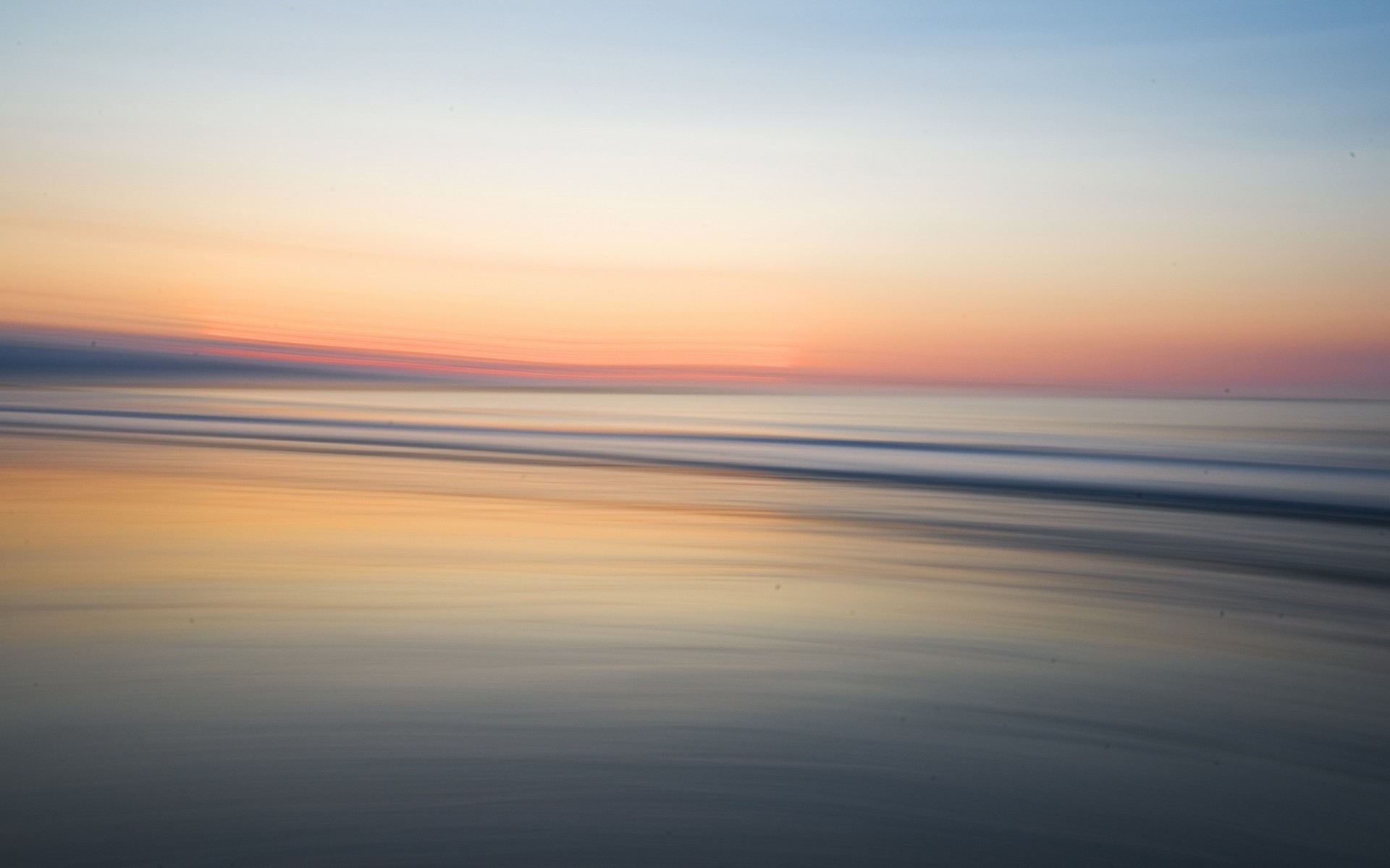 flowers beach sunset