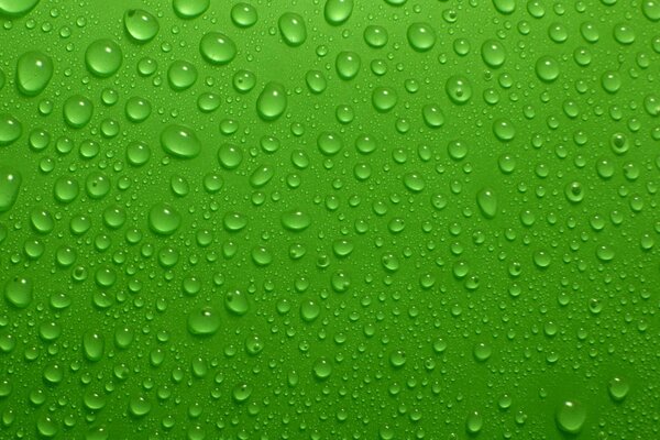 Transparent drops on a green background