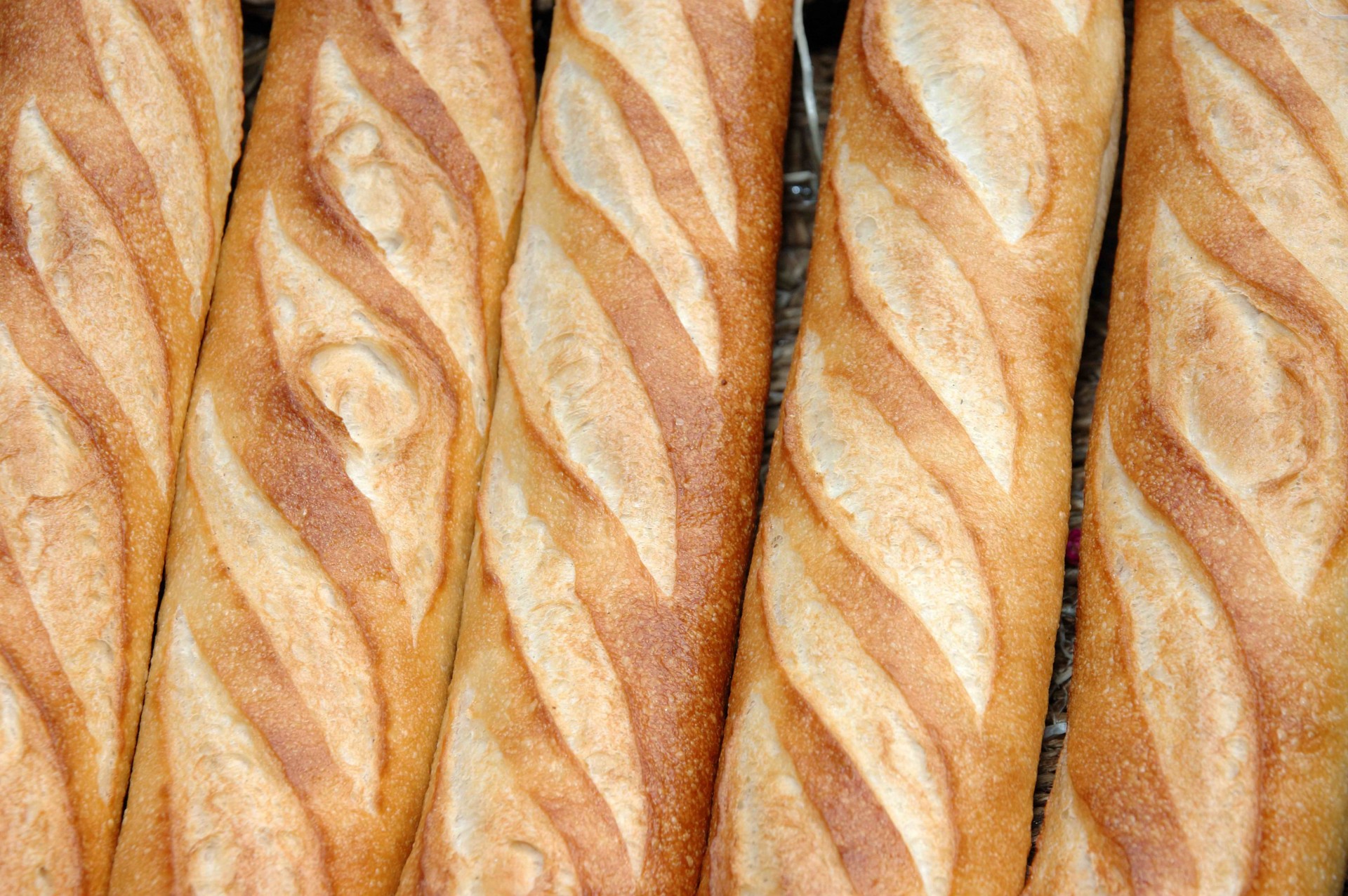 pan baguette panecillos