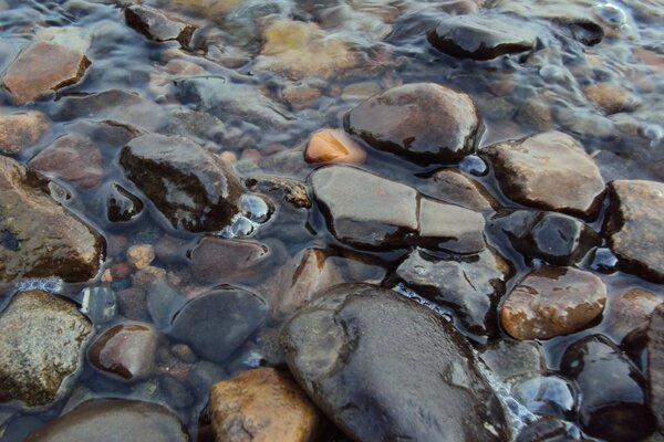 Rivage d une plage rocheuse dans l eau