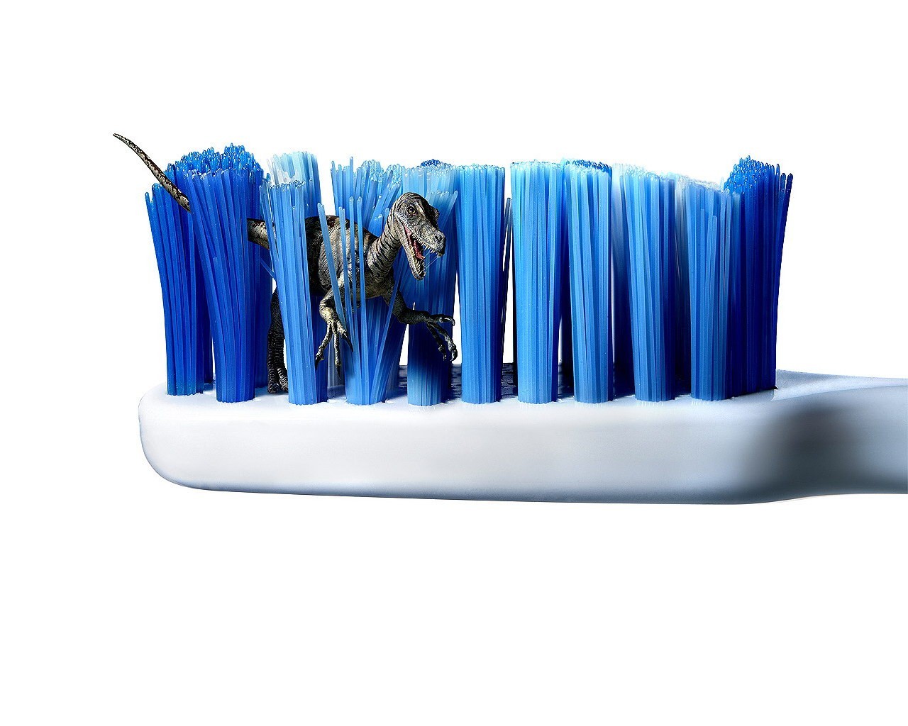 brosse dinosaure