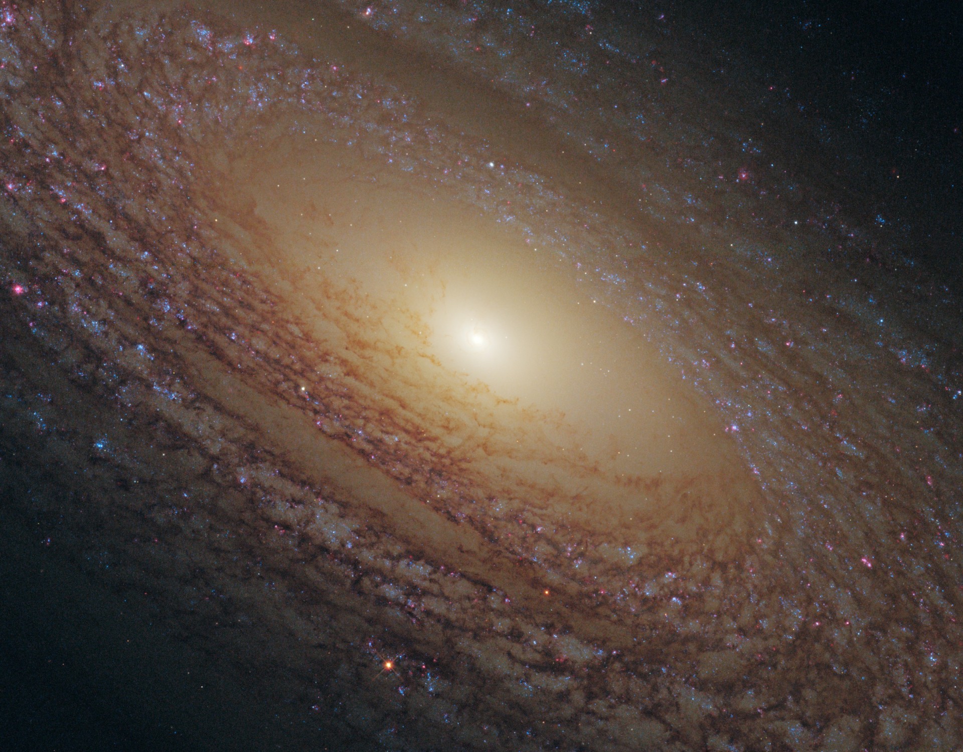 constelación galaxia espiral