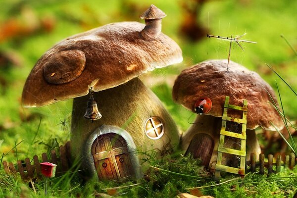 A tiny house in a mushroom