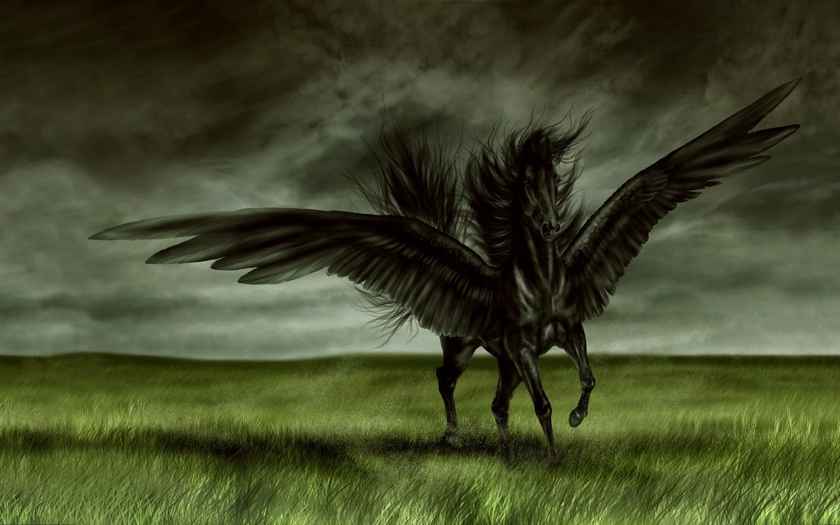 black horse wings the field