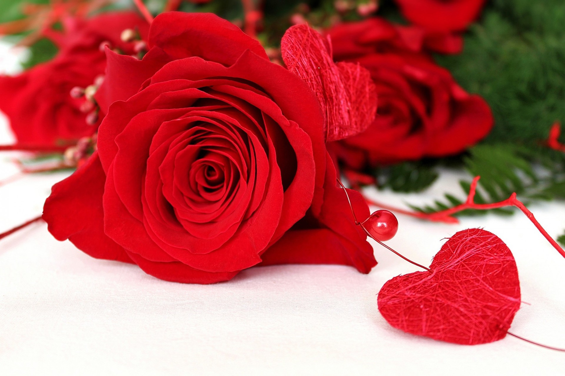 rose love bead heart flower white background close up