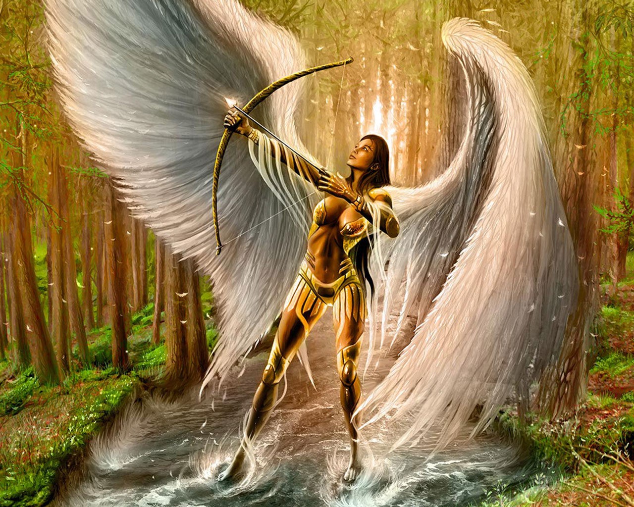 fantasy girl wings arrow