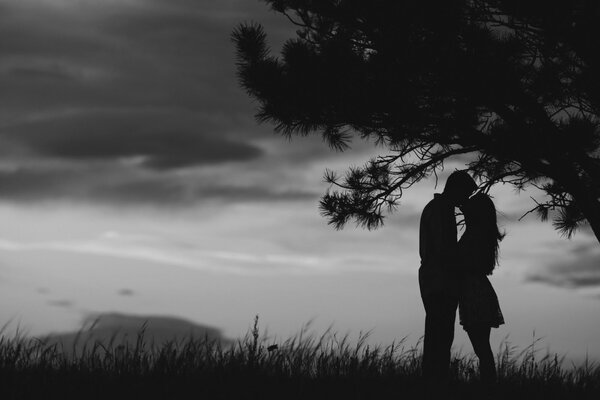 Couple kissing standing under a tree