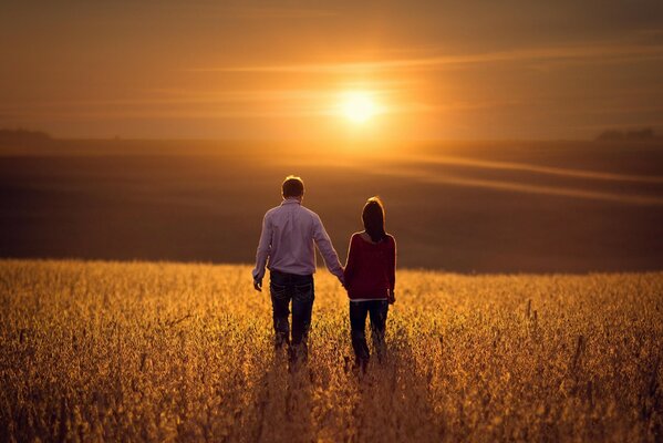 A couple in love walks through a field against the background of sunset