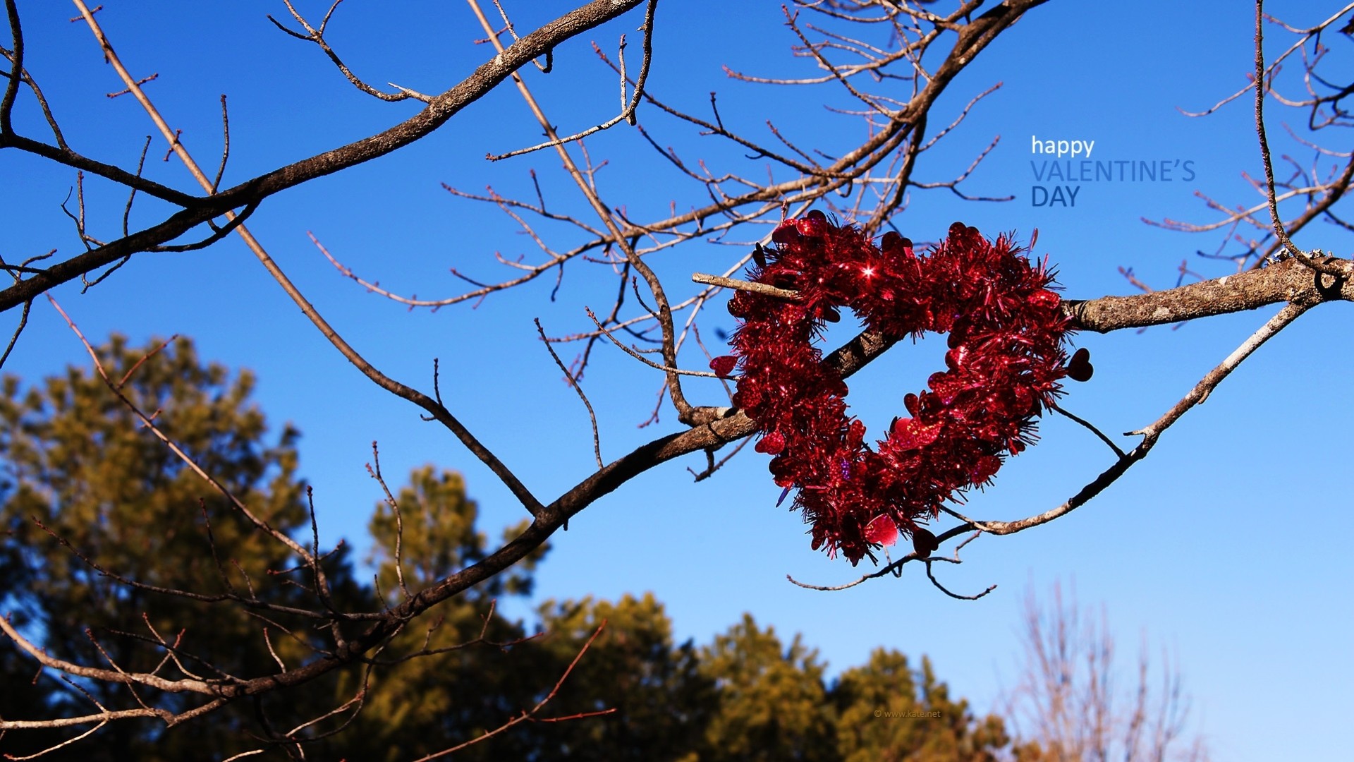 coeur saint valentin amour romance vacances