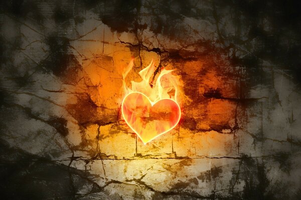 A fiery heart against a background of prickly grayness