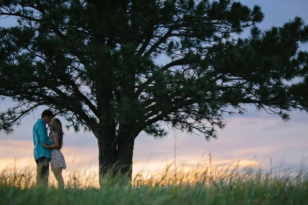 Lovers stand under a tree at sunset