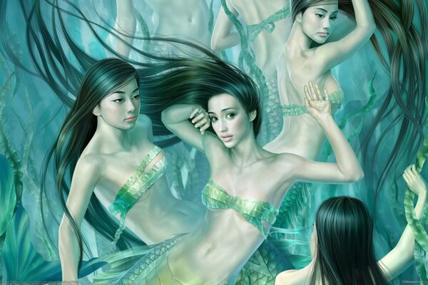 Four mermaids in seaweed in the water